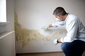 Professional Mold Prevention & Removal  in Mather, CA